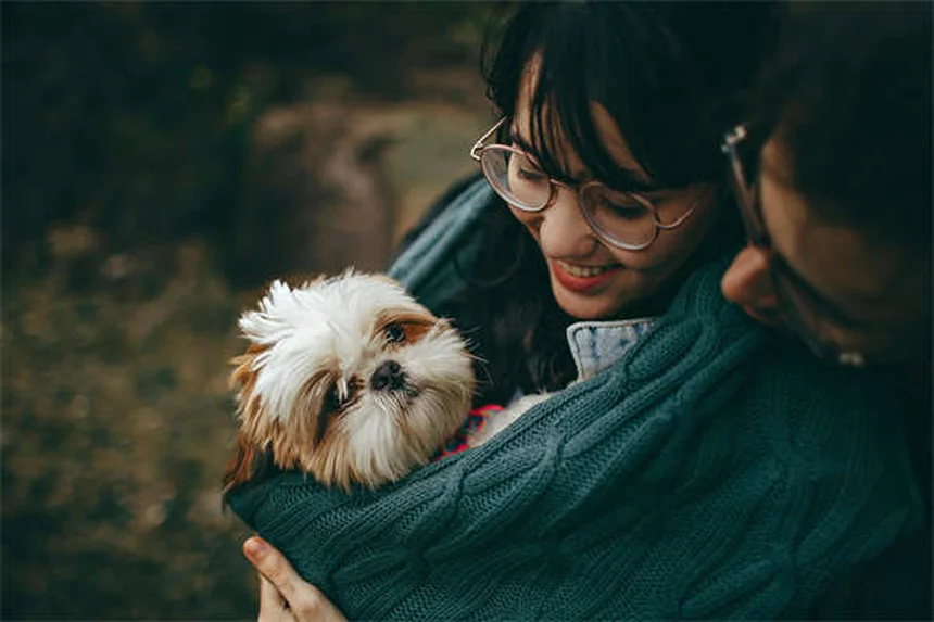 安全な犬用ノミ駆除薬の選び方｜獣医師が教える4つのポイント